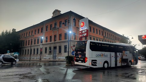 Istituto Magistrale Elena Principessa di Napoli