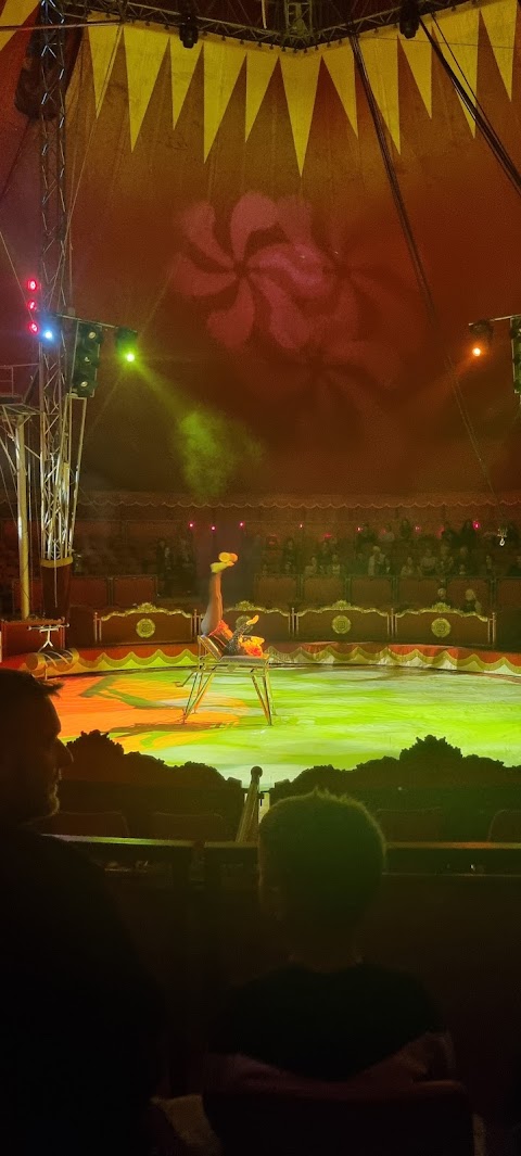 CIRCO MILLENNIUM