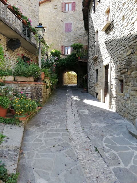 Bar Gelateria Gentilini