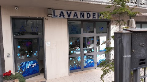 Lavanderie Bolle Blu Srl