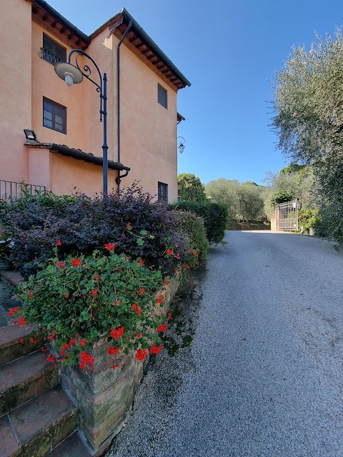 Ristorante Osteria Del Vecchio Olivo