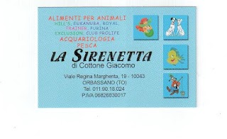 La Sirenetta