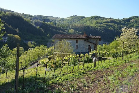 Agriturismo Campo Rosso