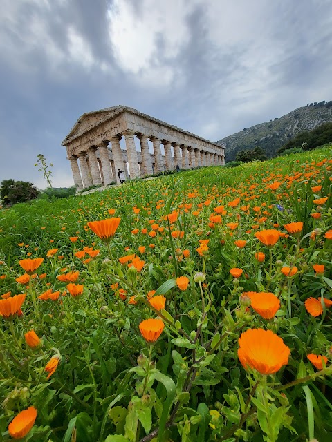 Guida turistica Palermo, Guida turistica Sicilia, Anna Cangemi