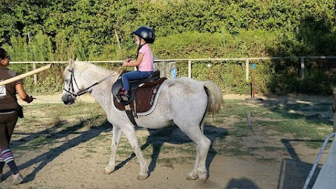 Il Ranch di Carlotta a.s.d.