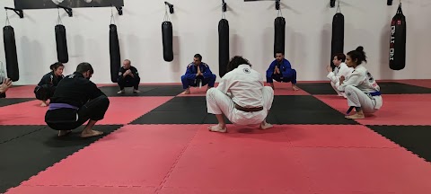 Carlson Gracie - Brazilian Jiu Jitsu - Parma