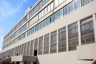 Università di Torino Dipartimento di Informatica