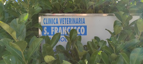 Clinica Veterinaria San Francesco - Reparto Piccoli Animali