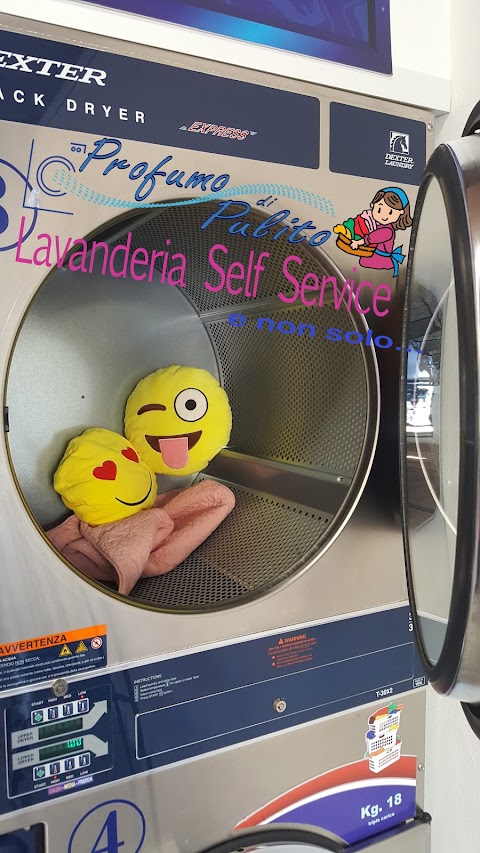 Lavanderia Self Service Profumo di Pulito