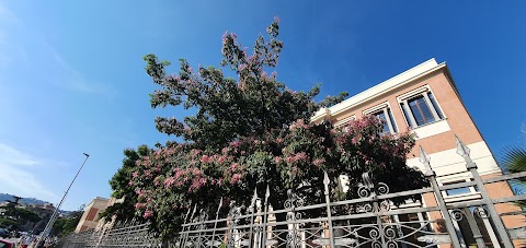 Università degli Studi di Messina