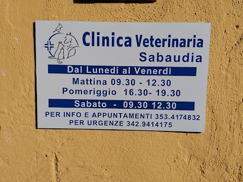 Clinica Veterinaria Sabaudia ( Latina )