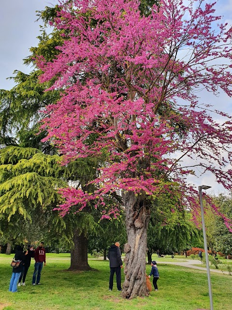 Parco Giochi del Castello