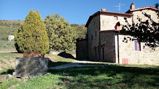 PALAIA - AGRITURISMO