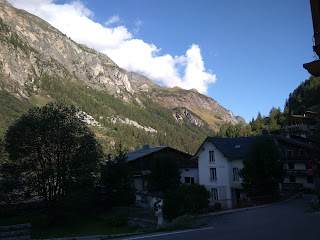 Chardons Coeur des Brevières