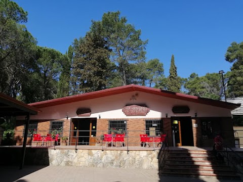 Ristorante Pizzeria Il Tronco