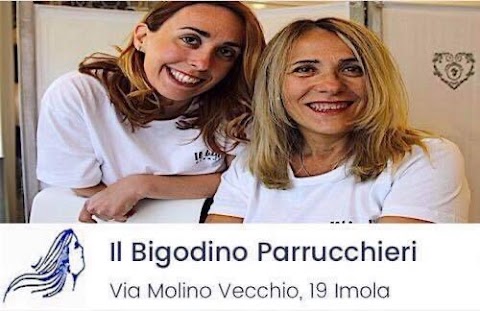 Il bigodino di Enza di Elena Minguzzi