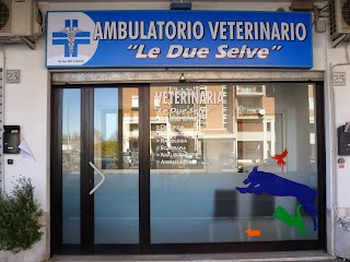 Ambulatorio Veterinario "Le Due Selve"