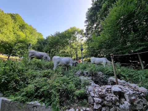 Oasi WWF Montagna di Sopra di Pannarano