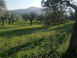 ANTICA OSTERIA FRANGIOSA