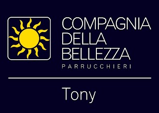 compagnia della bellezza di tony