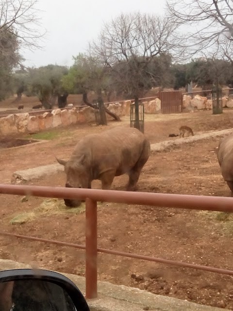 Parcheggio Zoo Safari Fasanolandia