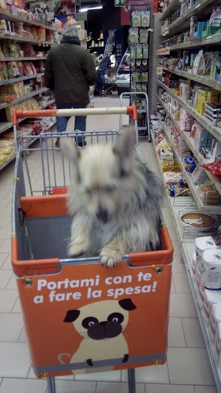 CONAD CITY