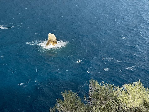 Mazzaro Viewpoint