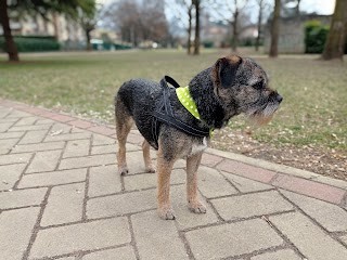 Toelettatura Nonsolocane di Ilaria e Maurizio