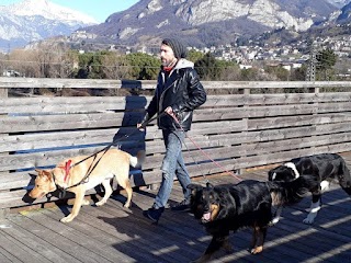 Asilo Diurno - Pet Sitting - Educazione Cinofila Lecco