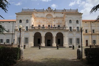 Accademia Vivarium Novum