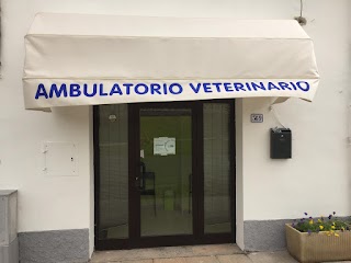 Ambulatorio Veterinario Associato Dott.ssa Nucci Dott.ssa Pallesi