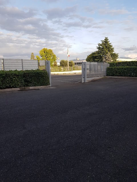 Foto di Golden Judo - Via Antonio Segni 15, Ciampino (RM), Italia