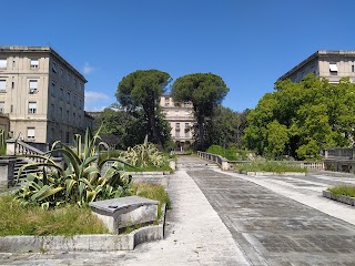 Ex Ospedale Carlo Forlanini