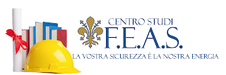 Centro Studi F.E.A.S.