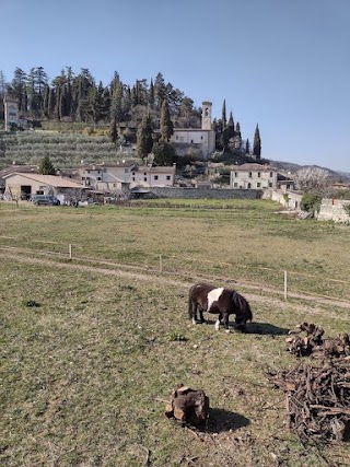 B&B Antico Borgo Marcemigo