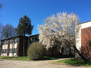 ICS Elsa Morante - Scuola Secondaria di Primo Grado "Heine"