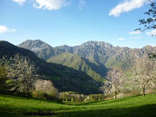 Trattoria La Pineta