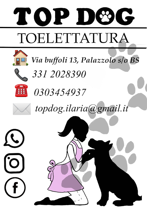 top dog toelettatura di ila