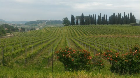 La Fontana ai Ciliegi