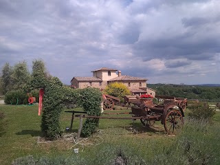 Naturing by Rudy Cucini - Slow Tuscany Experience