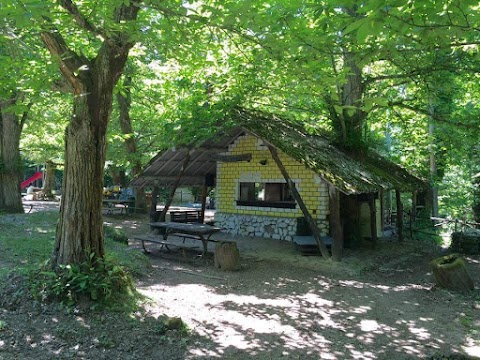 Bosco della Mogliarina