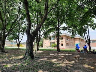 Scuola Secondaria I° Grado “Galileo Galilei”