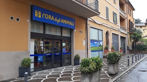 L'Ora Degli Animali