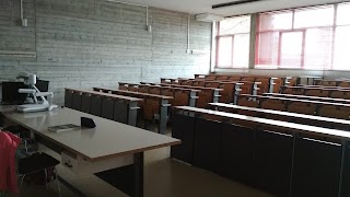 Dipartimento di Matematica - Università degli Studi di Ferrara