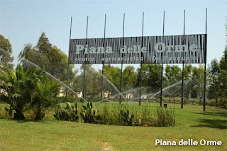 AZIENDA AGRICOLA FLORICOLA 44 - produttore, vendita fiori e ortaggi, aste per grossisti, Latina