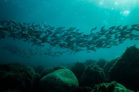 Faro Diving Center Catania