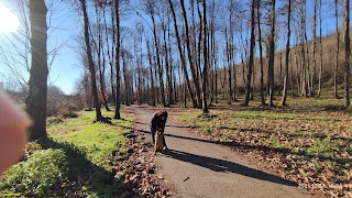 Parco dell'Ontanese