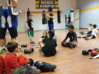 A. S. D. Marco Aurelio Boxe