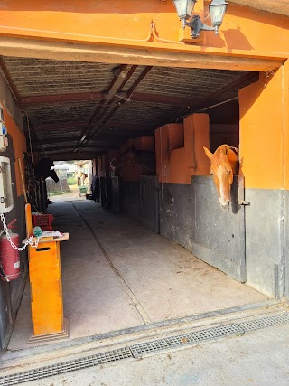 Centro Equestre Castel Fusano