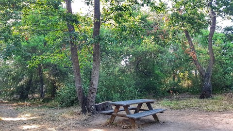 Parco Giochi Ladispoli Palo